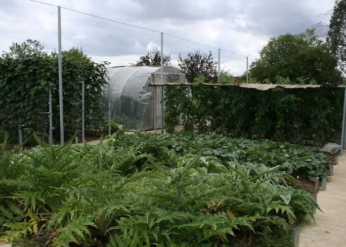 Hébergement de vacances Julia Aussonne