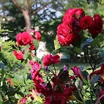 Tatil Evi Julia Aussonne