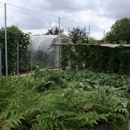 Nyaraló Julia Aussonne