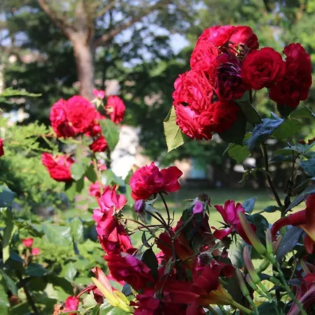 Nyaraló Julia Aussonne