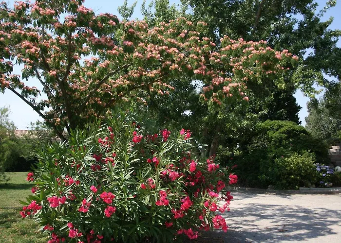 Vakantiehuis Julia *