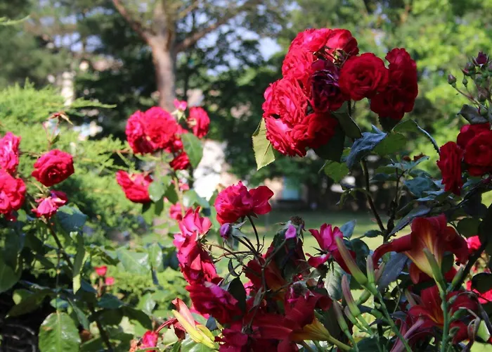 Vakantiehuis Julia Aussonne